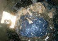 Uno de los fosos del recinto de Vincios, denunciado hace a�os por asociaciones animalistas