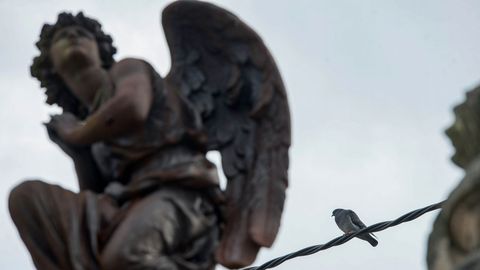 Cementerios singulares de Ourense.El de San Francisco es el referente en la ciudad.