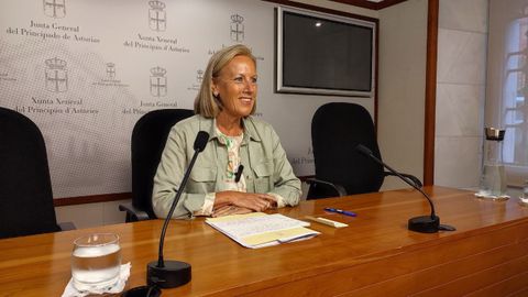 La diputada del PP, Pilar Fernndez Pardo, en rueda de prensaen la Junta General