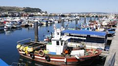 Barcos de bajura amarrados en el puerto de Bueu