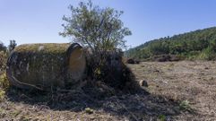 En las �ltimas semanas se han realizado desbroces en la traza de la futura v�a de alta capacidad.