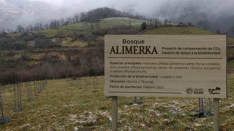 �rboles aut�ctonos plantados por Alimerka