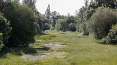 Imagen del tramo urbano de r�o Limia tomada a finales del mes pasado