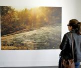 Tambi�n se exponen fotograf�as de Villestro y otros lugares. 