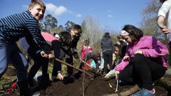 Mira aqu� las im�genes de la plantaci�n de �rboles de los alumnos rianxeiros