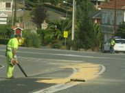 El ma�z invadi� el asfalto en la zona de Queir�s. 