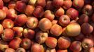 Imagen de manzanas de la  Indicaci�n Geogr�fica Protegida Poma de Girona