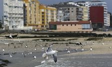 La estafa afecta a 26 comunidades de vecinos y podr�a alcanzar los 170.000 euros. 