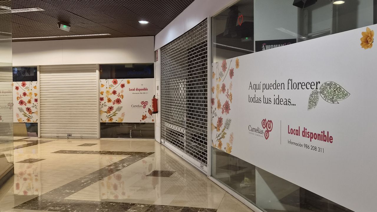 La difícil supervivencia del centro comercial Camelias
