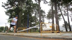 La zona del paseo donde cay� la rama que mat� a una mujer en Cabanas, acordonada
