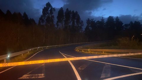 Carretera cortada por la ca�da de un �rbol que deja aislados a un taller, siete viviendas y la estaci�n de tren de Franza en Mugardos