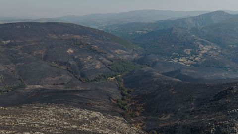 Desolador aspecto que presentan despois dos lumes as serras ourenss de San Mamede e de Chandrexa de Queixa.