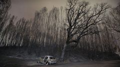 El incendio de Pedr�g�o ocasion� la muerte de 64 personas en junio del a�o pasado