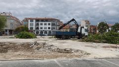 La aparente tala de �rboles ha provocado alarma en O Grove.