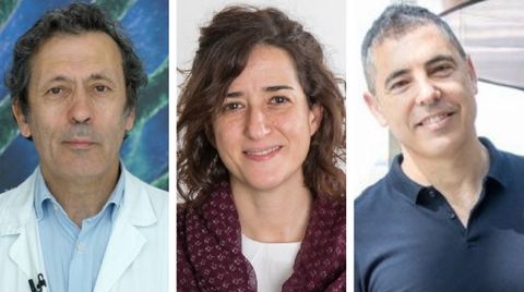 De izquierda a derecha, el gallego Luis Paz Ares, F�tima Al-Shahrour y �scar Llorca, quienes integrar�n una direcci�n colegiada para refundar el CNIO