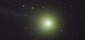 Lovejoy XXL
