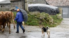 La aldea de Enxerto, donde se detect el primer caso de vacas locas en Espaa