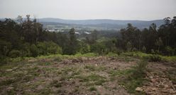 La variante pasar�a a escasos metros del asentamiento castre�o catalogado. 