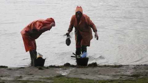 Foto de archivo de mariscadoras en Ortigueira