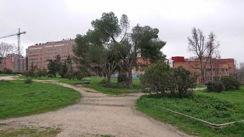 El parque Jaime del Amo, en la Ciudad Universitaria de Madrid, donde los estudiantes suelen juntarse a principio de curso durante las novatadas.