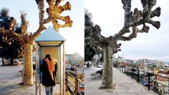 A la izquierda, el Paseo de Alfonso XII con cabina; a la derecha, la misma vista, ayer, sin ella.  