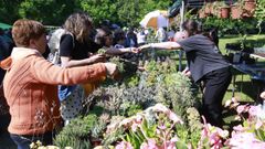 Abarrote en la Feira da Plantaci�n de San Sadurni�o