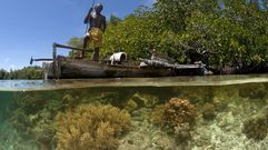 Exposicion �Os nosos oc�anos�