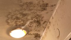 Graves humedades, techos que gotean y prendas de ropa llenas de moho en un piso en Santiago