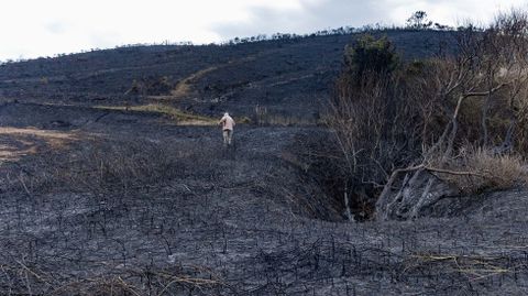 Estado del terreno en Cai�n, en una imagen de este martes 