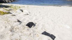 Dos pasamonta�as, abandonados en la playa de Arnela esta semana