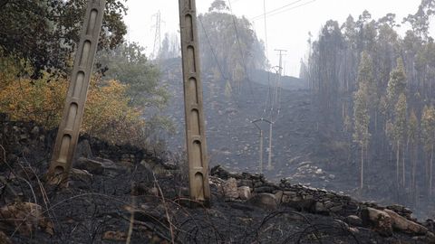 Incendio de Parada en Tenorio