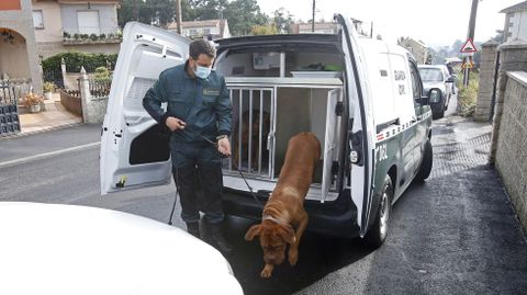 Golpe al clan de los Ferrados