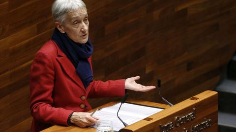 La consejera de Educaci�n, Carmen Su�rez, en la Junta General 