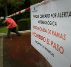 Los jardines de M�ndez N��ez, cerrados al p�blico. 