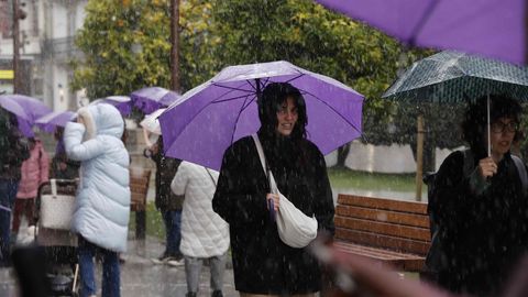 En la calle se vieron de nuevo los paraguas morados