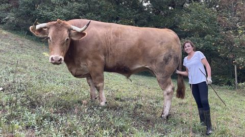 Celia en una de sus fincas en As Nogais junto a Berto, uno de los bueyes que cr�a en su explotaci�n