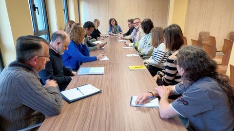 En la cabecera de la mesa, la directora general Eva Ledo, durante la reunin con centros concertados que imparten FP