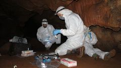 Imagen del equipo de investigadores