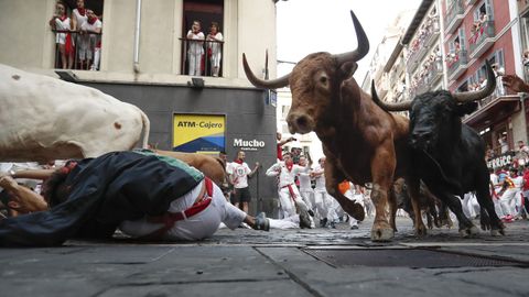 Los toros de la ganader�a gaditana de La Palmosilla entran en la curva de Mercaderes