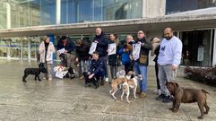 Acto de presentaci�n de la Exposici�n Canina que se celebra en el Pazo de Feiras este fin de semana