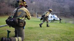 Incendio forestal en el valle de Ardisana.