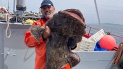 Un pescantn de 30 kilos capturado por el Pintor Dos, de Portonovo