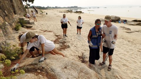 Los voluntarios de Amicos participan en el Campus Verde en la Playa de la Corna, en Palmeira