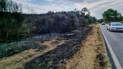 Restos del incendio forestal que afect� este domingo a Vilar de Astr�s, en Ourense