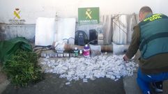 Operativo de los agentes