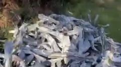 Restos encontrados por un vecino en un camino cerca de Lires, Cee