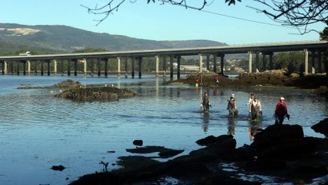 Labores de b�squeda de Diana en el puerto de Tarago�a