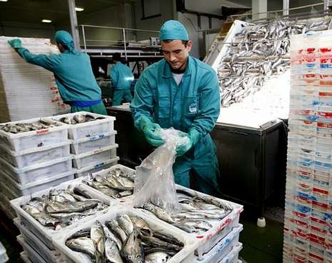 <span lang= es-es >Pescados Rub�n</span>. Con sede en Fazouro, la empresa pas� de 59 millones de euros de facturaci�n durante el a�o 2012.