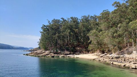 Isla de Tambo en la r�a de Pontevedra.