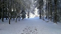Nieve en Manzaneda